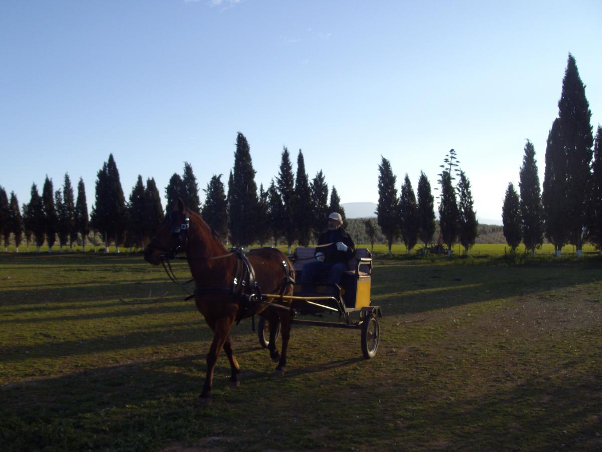 Cortijo Ferradores Humilladero Eksteriør billede
