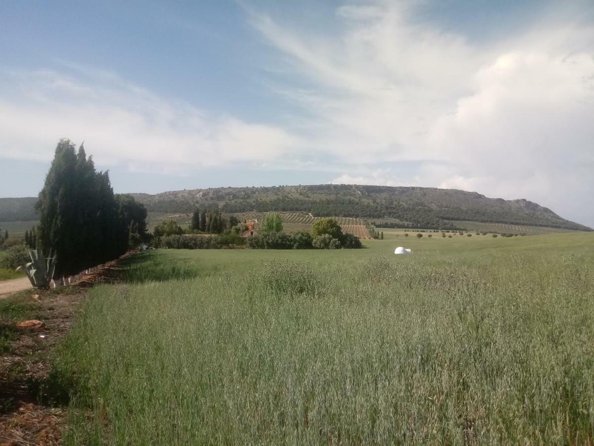Cortijo Ferradores Humilladero Eksteriør billede