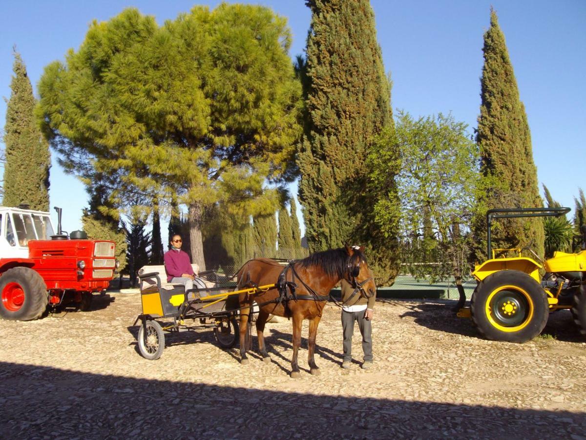 Cortijo Ferradores Humilladero Eksteriør billede