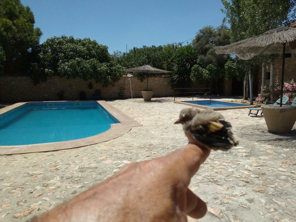 Cortijo Ferradores Humilladero Eksteriør billede